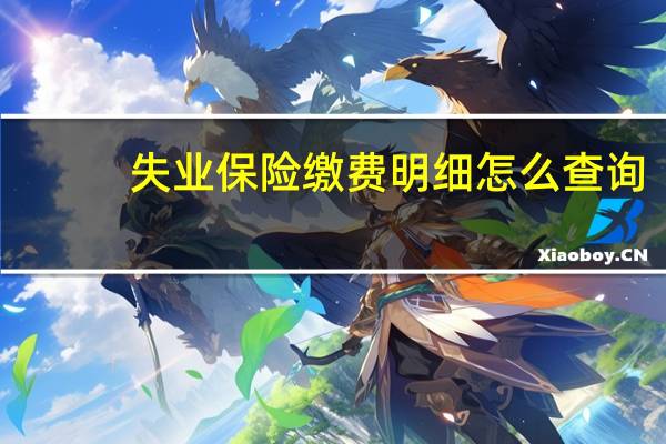 失业保险缴费明细怎么查询