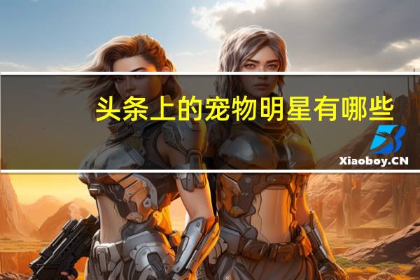 头条上的宠物明星有哪些