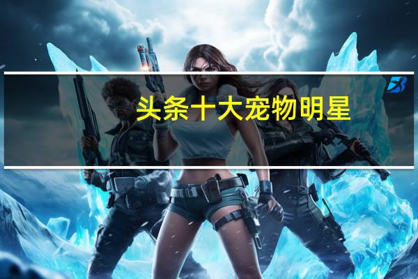 头条十大宠物明星