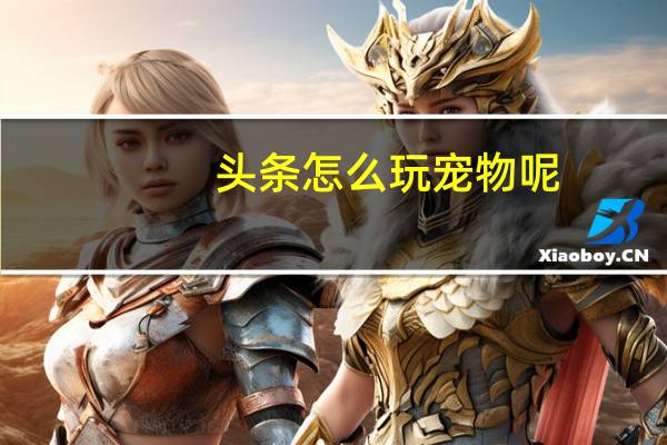 头条怎么玩宠物呢