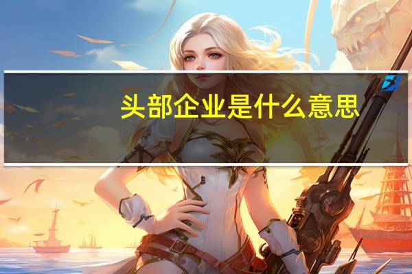 头部企业是什么意思