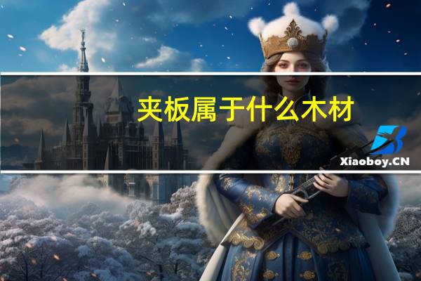 夹板属于什么木材