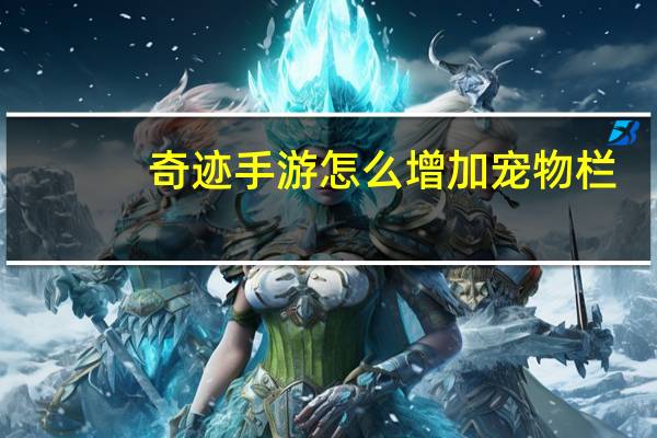 奇迹手游怎么增加宠物栏
