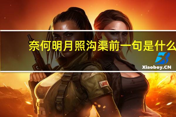 奈何明月照沟渠前一句是什么