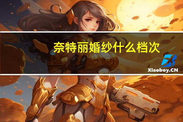 奈特丽婚纱什么档次