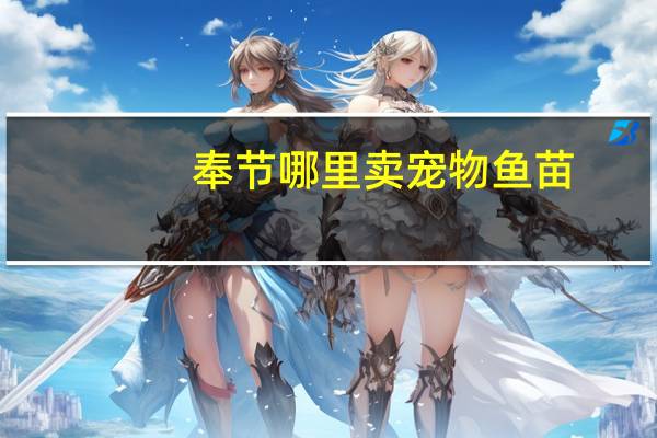 奉节哪里卖宠物鱼苗