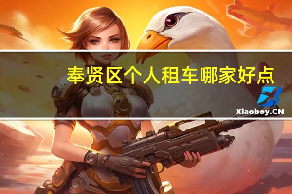 奉贤区个人租车哪家好点