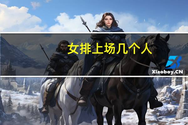 女排上场几个人