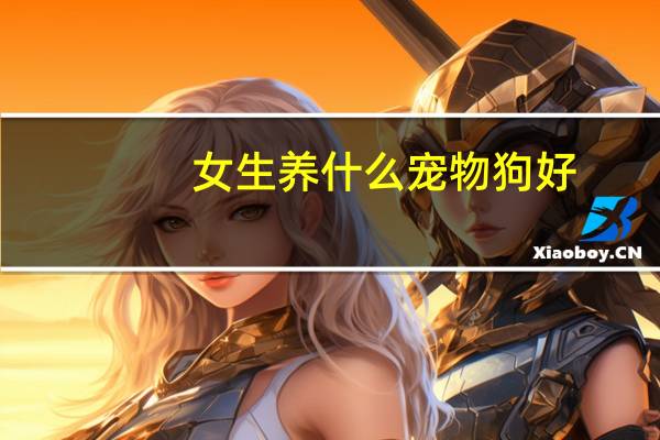女生养什么宠物狗好