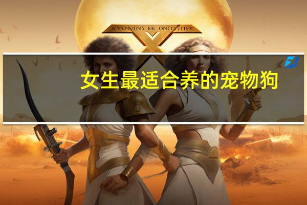 女生最适合养的宠物狗