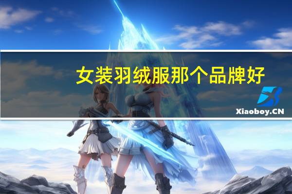 女装羽绒服那个品牌好