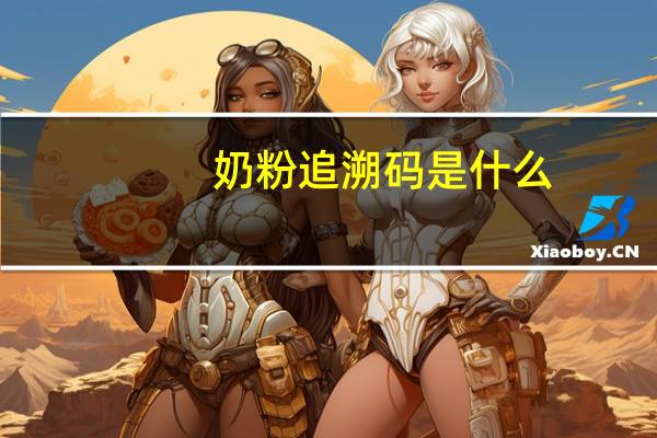 奶粉追溯码是什么