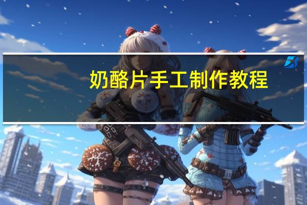 奶酪片手工制作教程