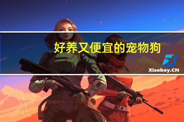 好养又便宜的宠物狗