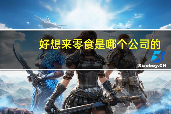 好想来零食是哪个公司的