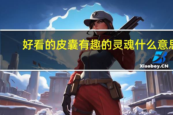 好看的皮囊有趣的灵魂什么意思