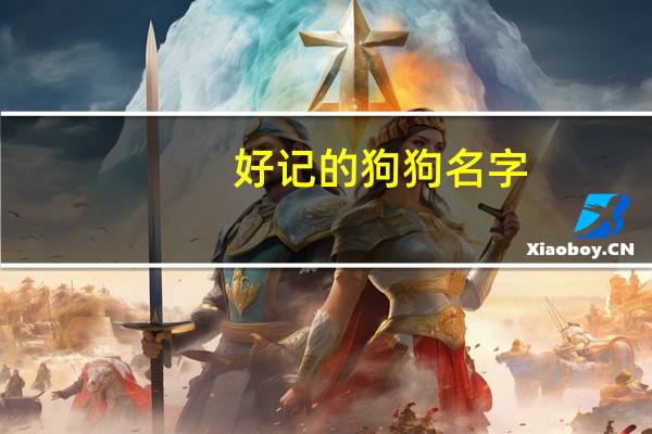 好记的狗狗名字