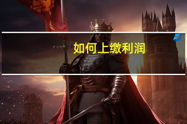 如何上缴利润