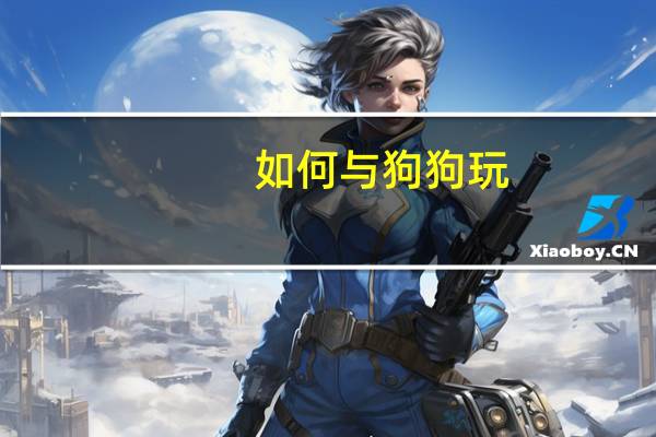 如何与狗狗玩