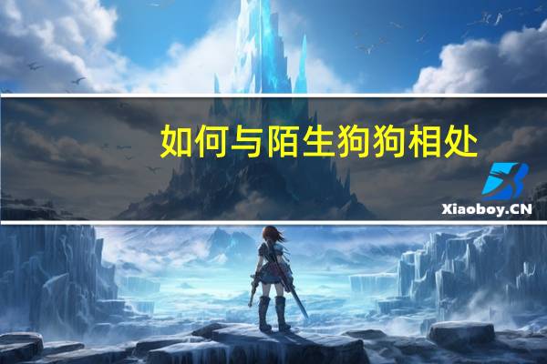 如何与陌生狗狗相处