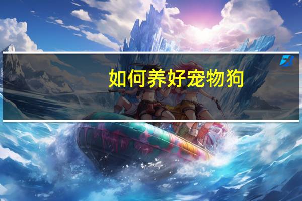 如何养好宠物狗