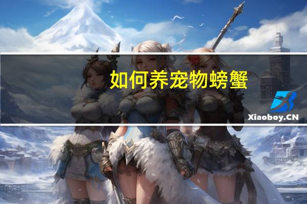 如何养宠物螃蟹
