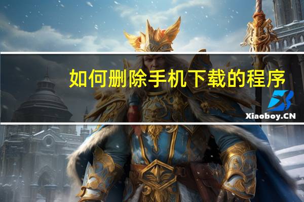 如何删除手机下载的程序