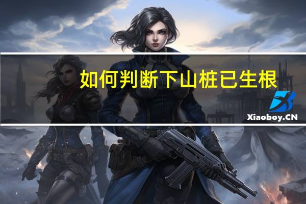 如何判断下山桩已生根