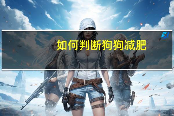 如何判断狗狗减肥