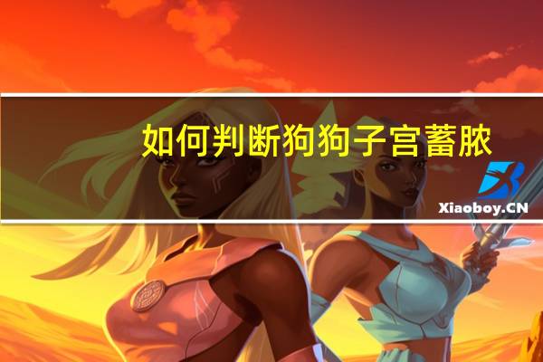 如何判断狗狗子宫蓄脓