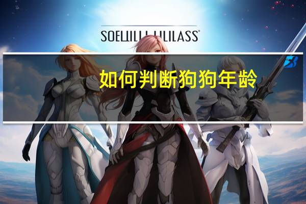 如何判断狗狗年龄
