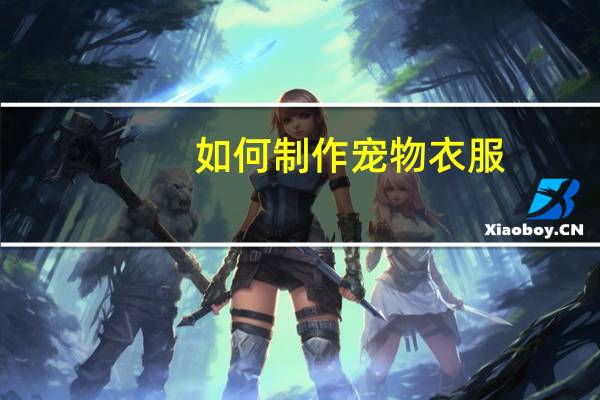 如何制作宠物衣服
