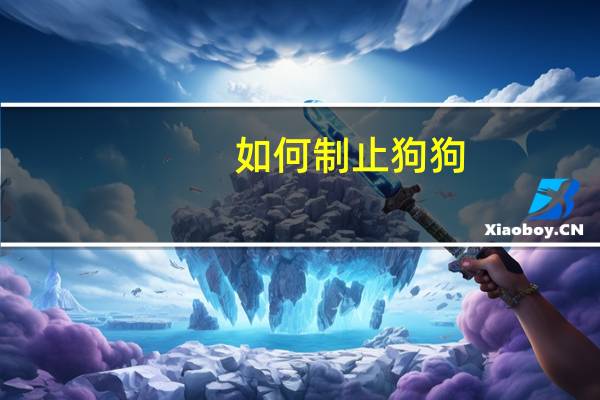 如何制止狗狗