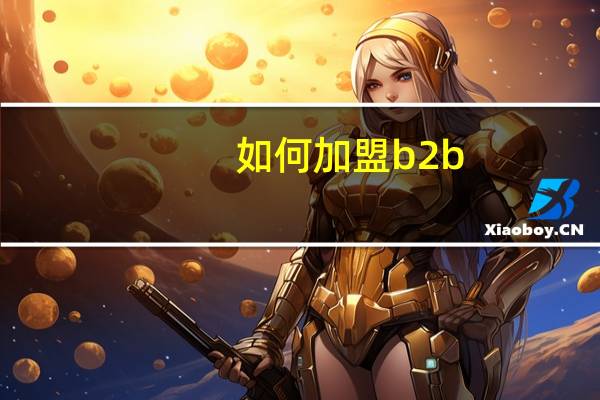 如何加盟b2b