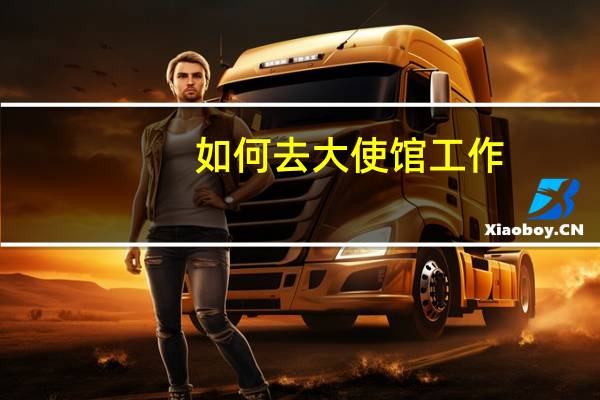 如何去大使馆工作