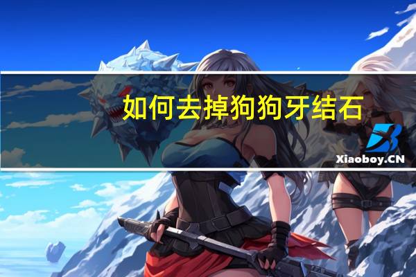 如何去掉狗狗牙结石