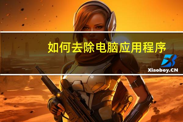 如何去除电脑应用程序