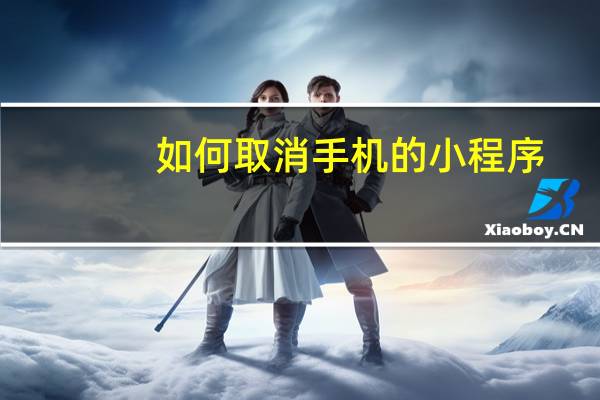 如何取消手机的小程序
