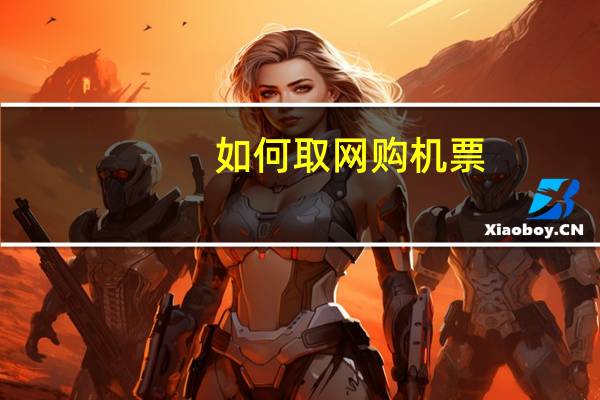 如何取网购机票