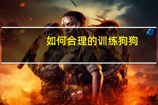 如何合理的训练狗狗