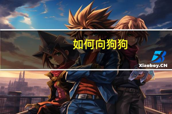 如何向狗狗