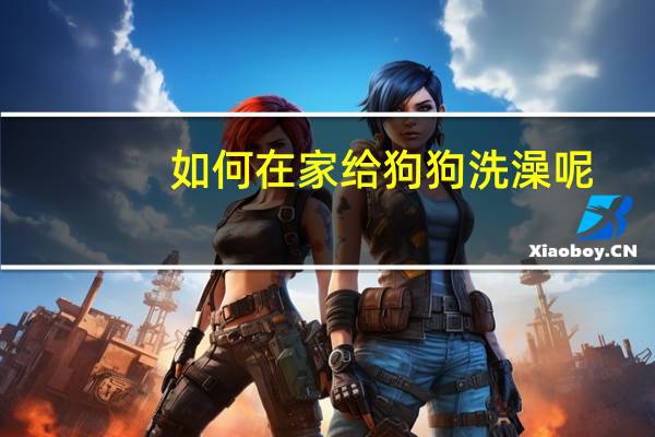 如何在家给狗狗洗澡呢