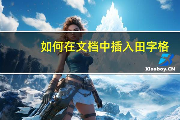 如何在文档中插入田字格