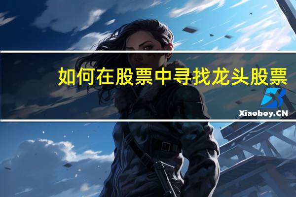 如何在股票中寻找龙头股票