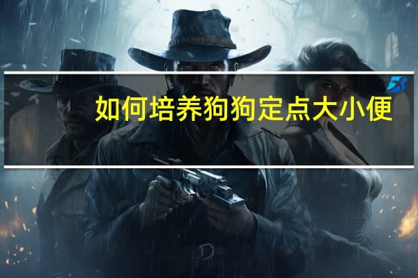 如何培养狗狗定点大小便