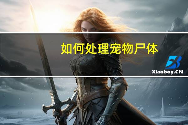 如何处理宠物尸体