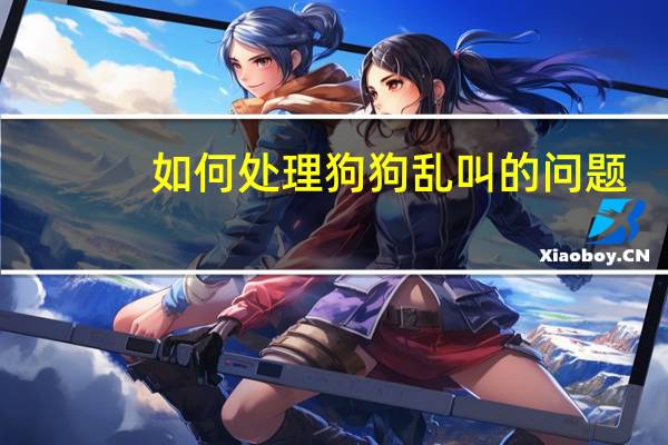 如何处理狗狗乱叫的问题
