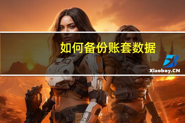 如何备份账套数据