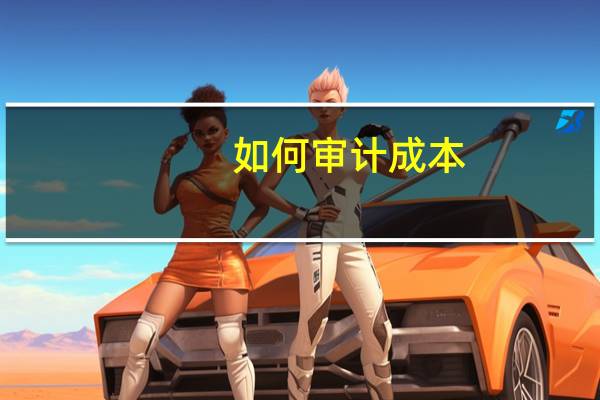 如何审计成本