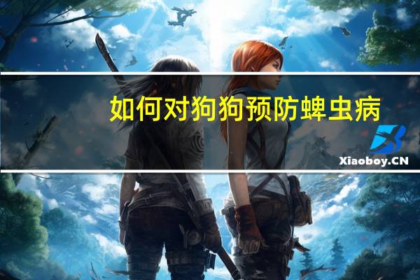 如何对狗狗预防蜱虫病